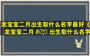 龙宝宝二月出生取什么名字最好（龙宝宝二月 🦁 出生取什么名字最 🦍 好男孩）